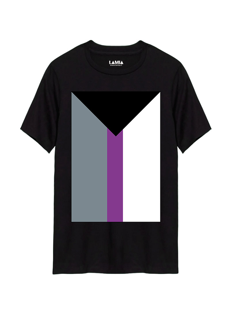 Polera Bandera Demisexual Línea Premium #1 1