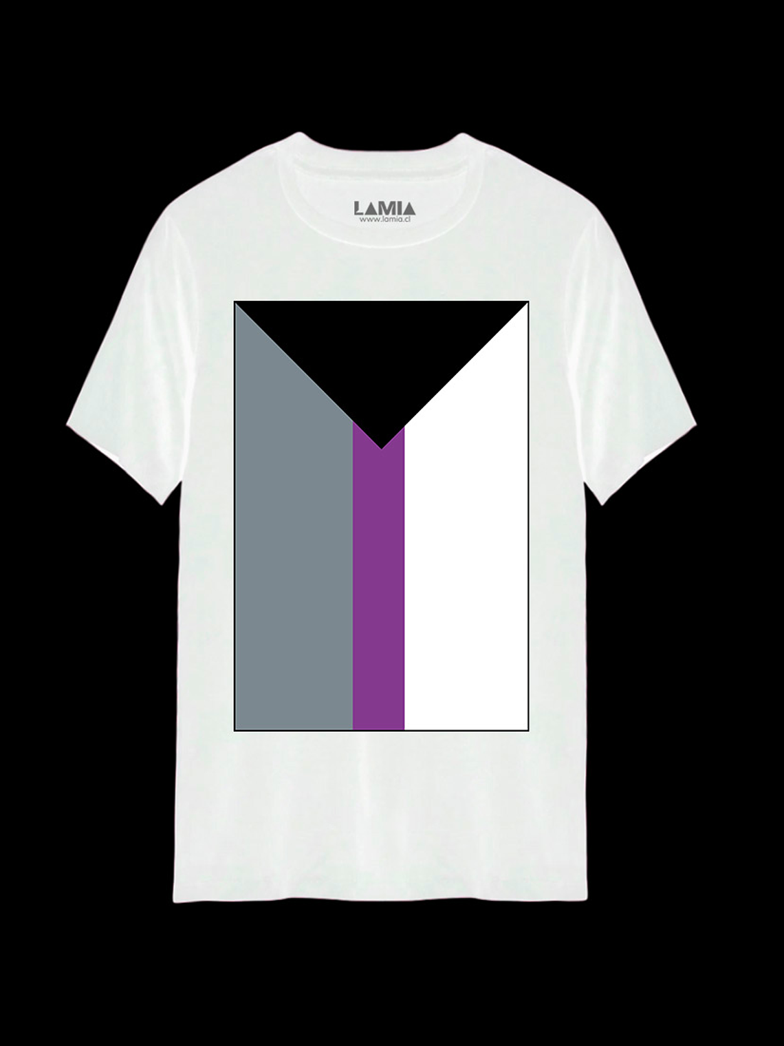 Polera Bandera Demisexual Línea Premium #1 2