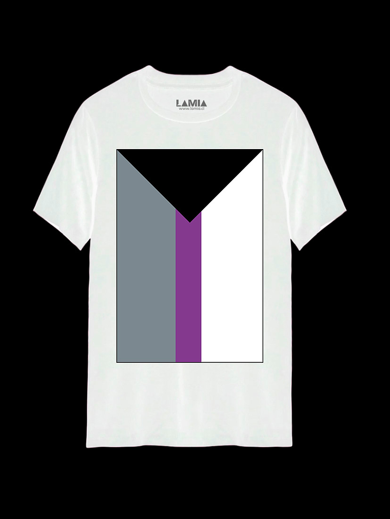 Polera Bandera Demisexual Línea Premium #1 2