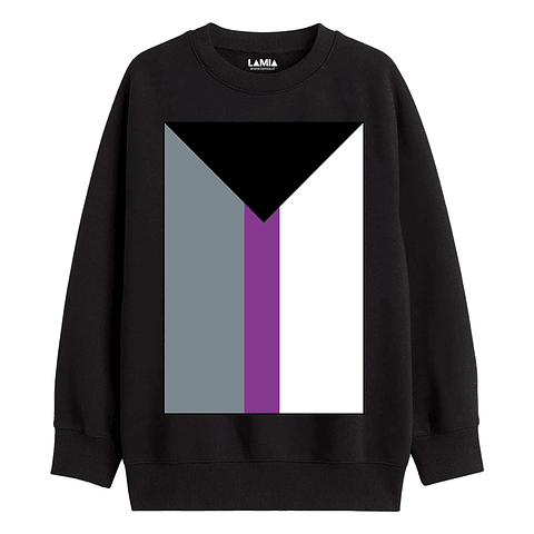 Polerón Bandera Demisexual Línea Premium #1