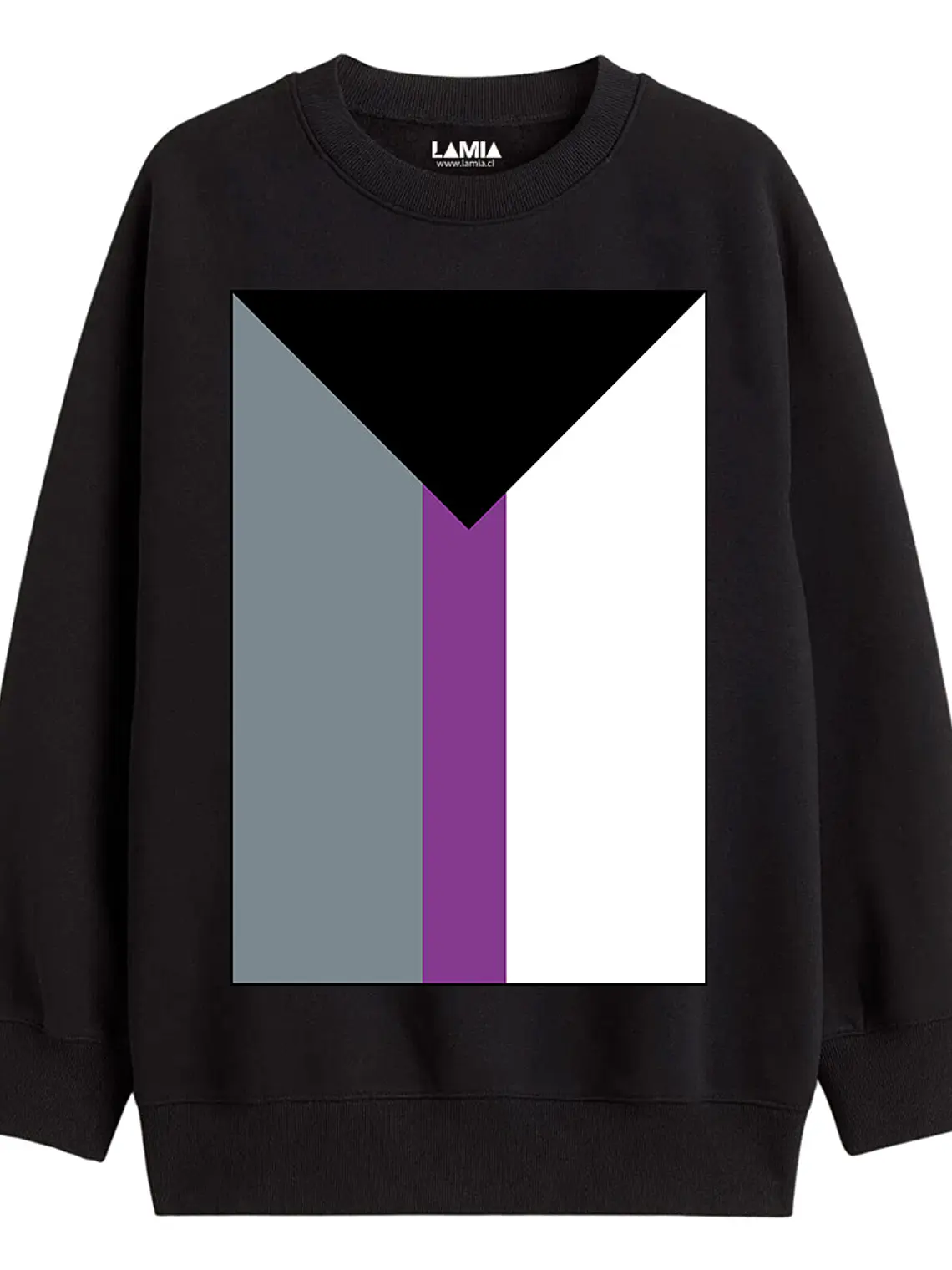 Polerón Bandera Demisexual Línea Premium #1 1