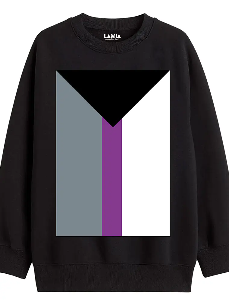 Polerón Bandera Demisexual Línea Premium #1 1