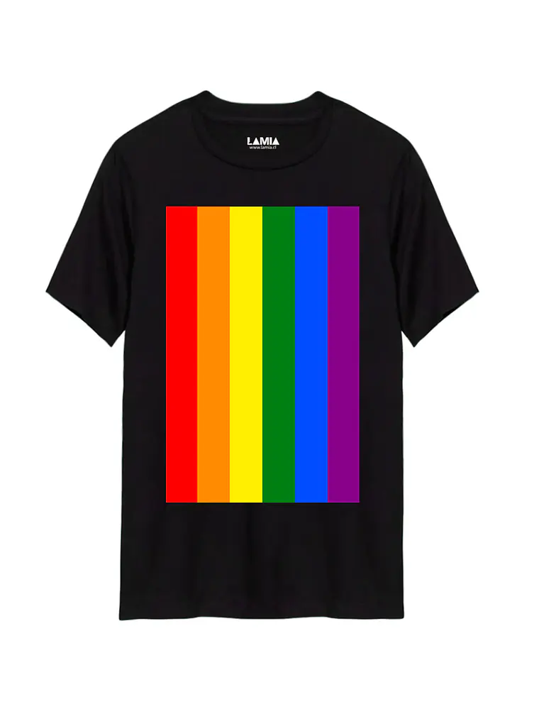 Polera Bandera Pride Línea Premium #1 1
