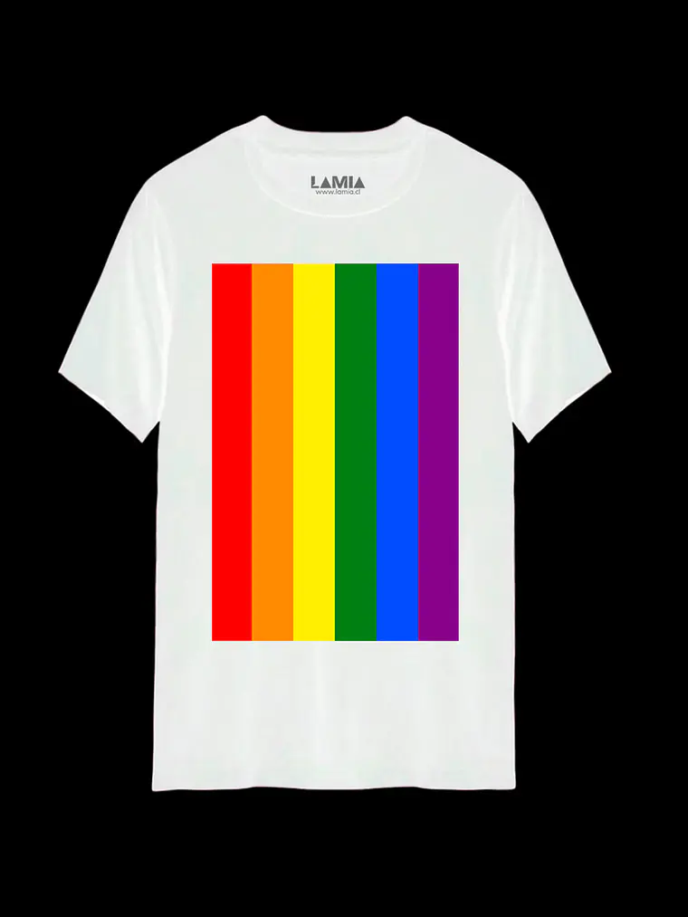 Polera Bandera Pride Línea Premium #1 2