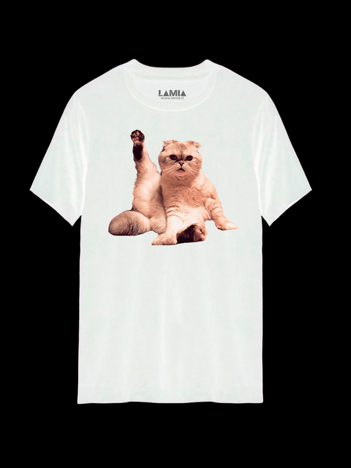 Polera Taylors Version Taylor Swift linea premium #16 2