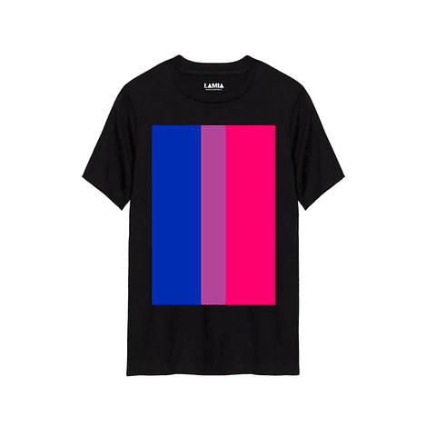 Polera Bandera Bisexual linea premium #1