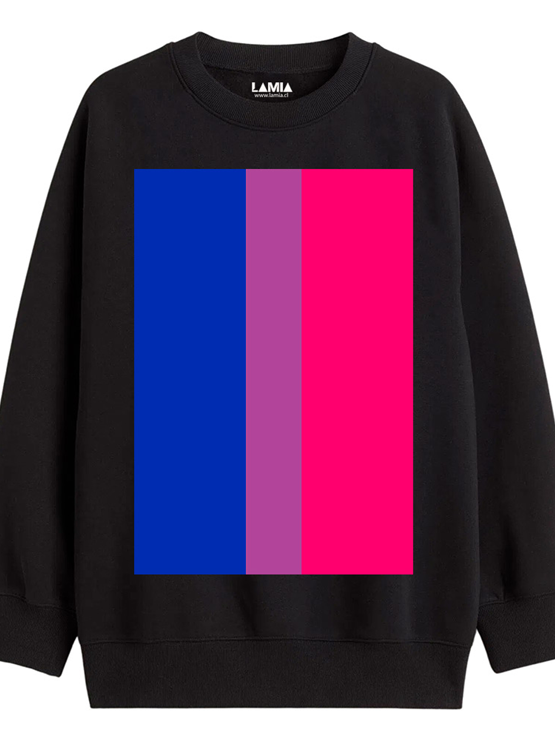 Polerón Bandera Bisexual linea premium #1 1