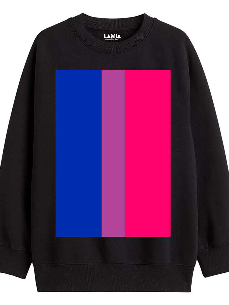 Polerón Bandera Bisexual linea premium #1 1