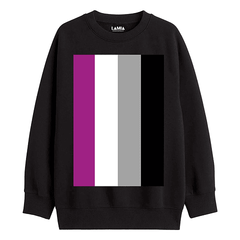 Poleron Bandera Asexual linea premium #2