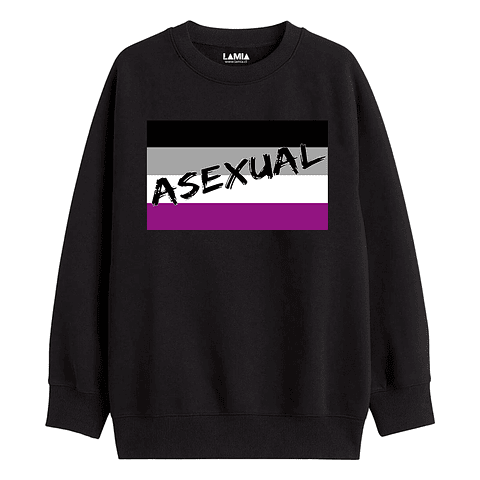 Poleron Bandera Asexual linea premium #1