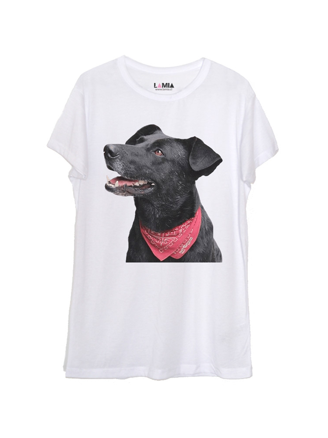 Negro Matapacos #1 1