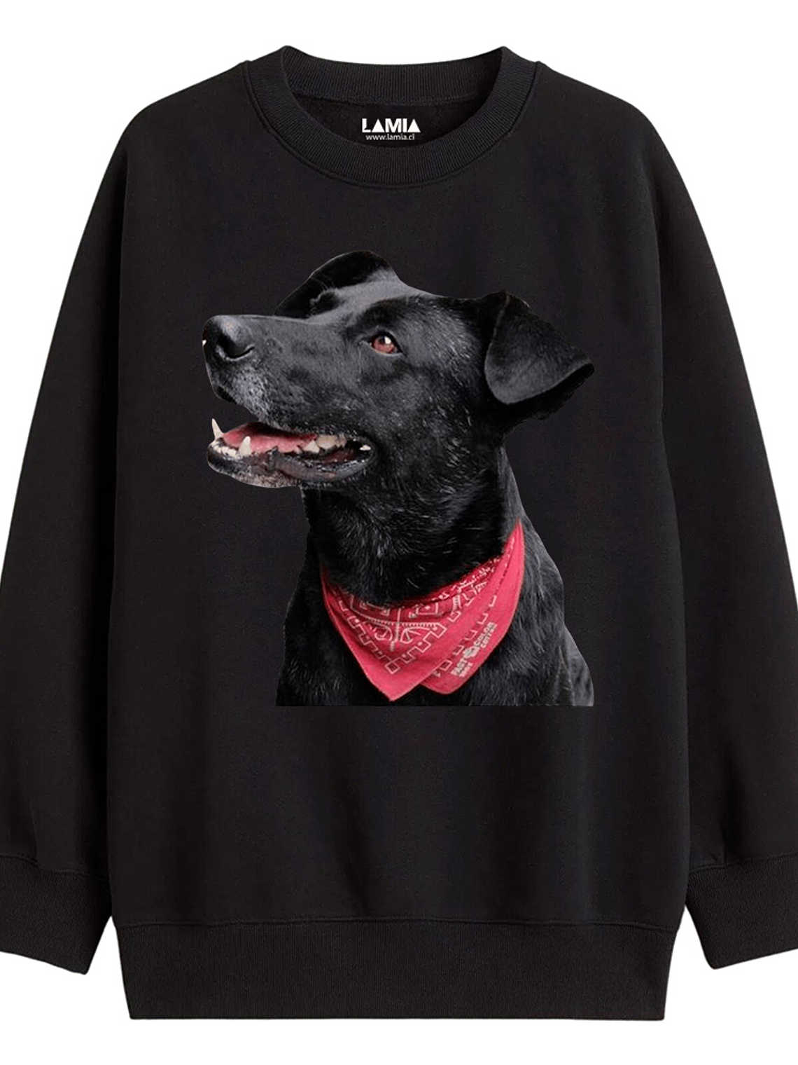 Polerón Negro Matapacos Línea Premium #1 1