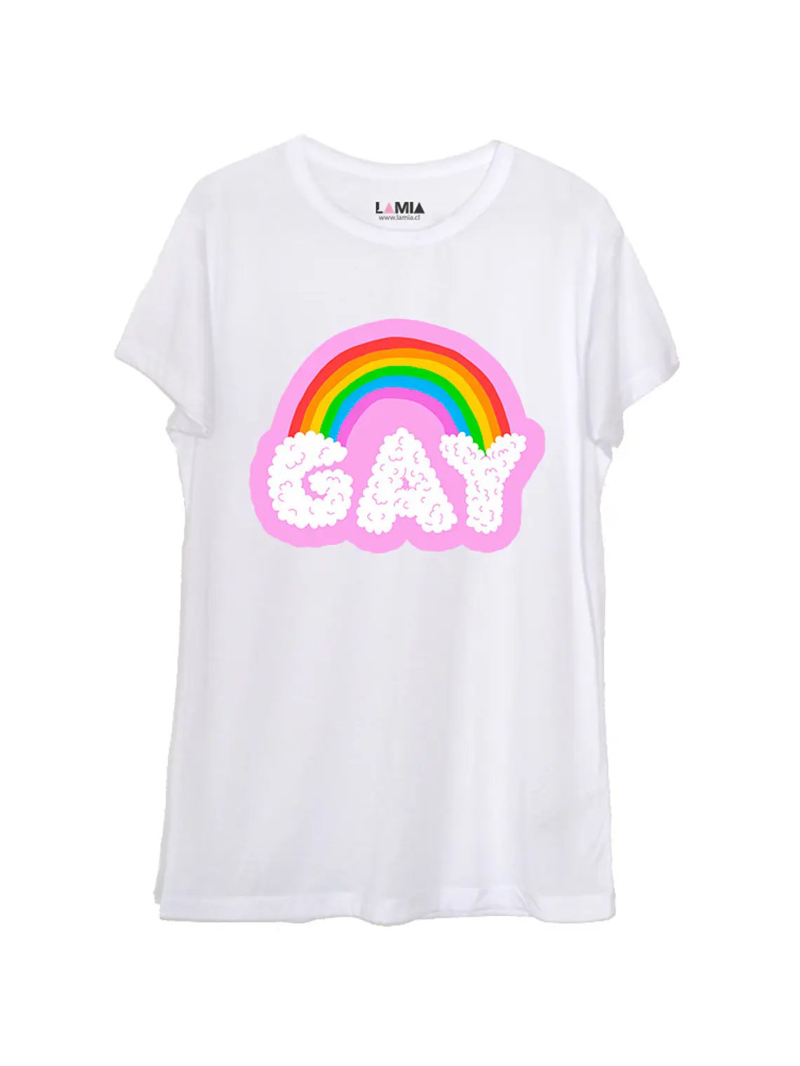 Gay #1 1