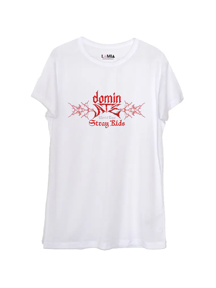 stray kids dominate K Pop #1 1