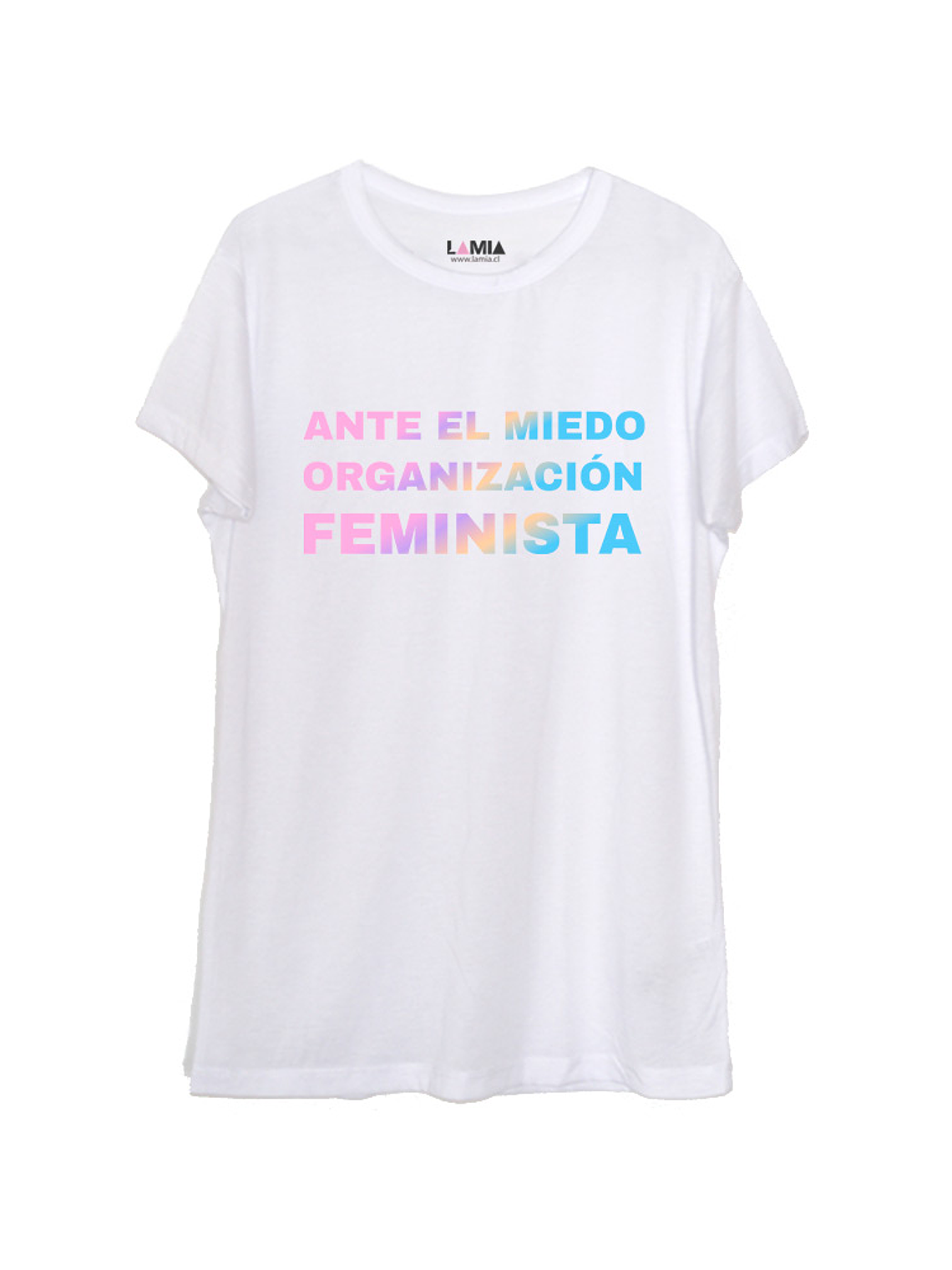 Ante el miedo organizacion feminista #1 1