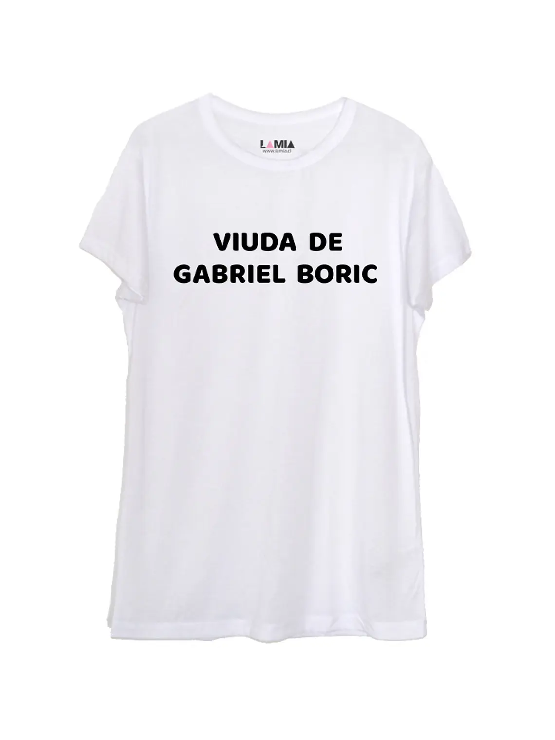 Gabriel Boric #6 1