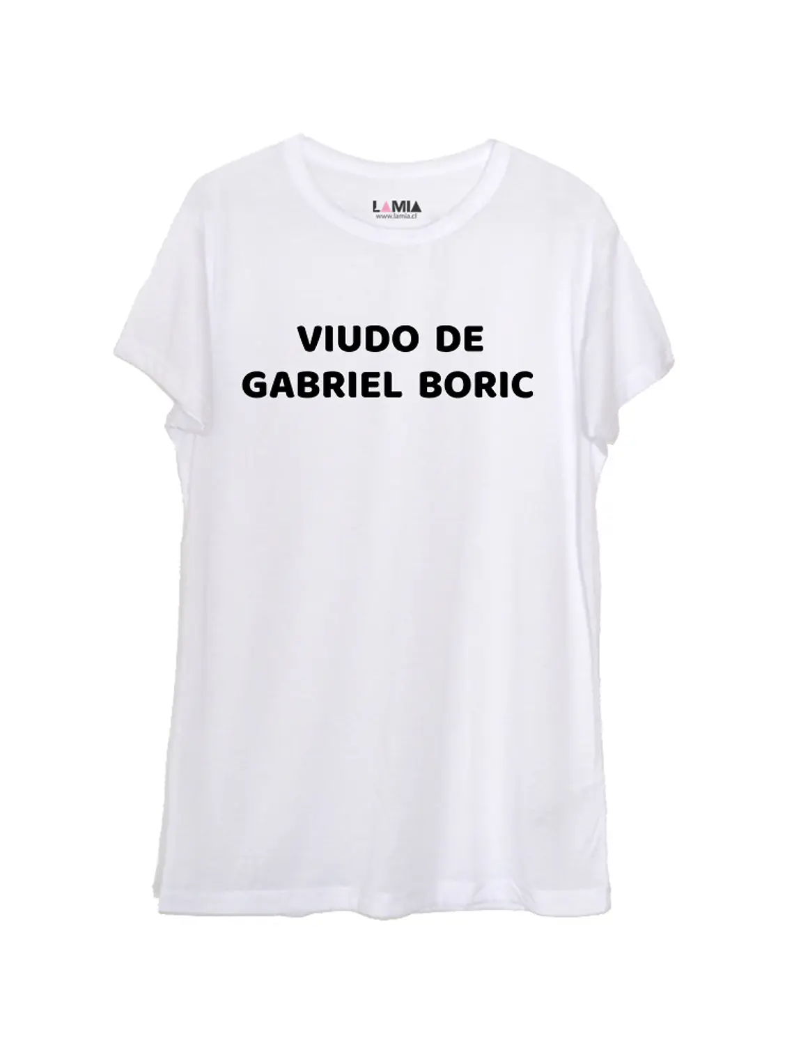 Gabriel Boric #7 1
