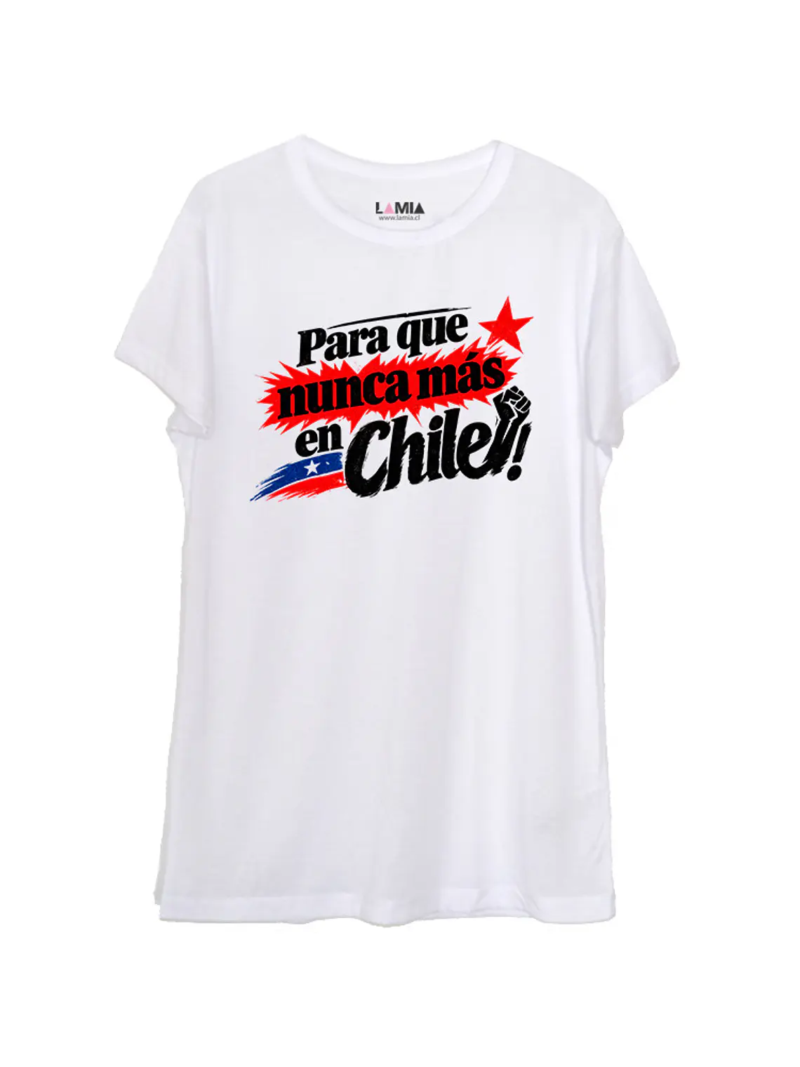 Para que nunca mas en Chile #2 1