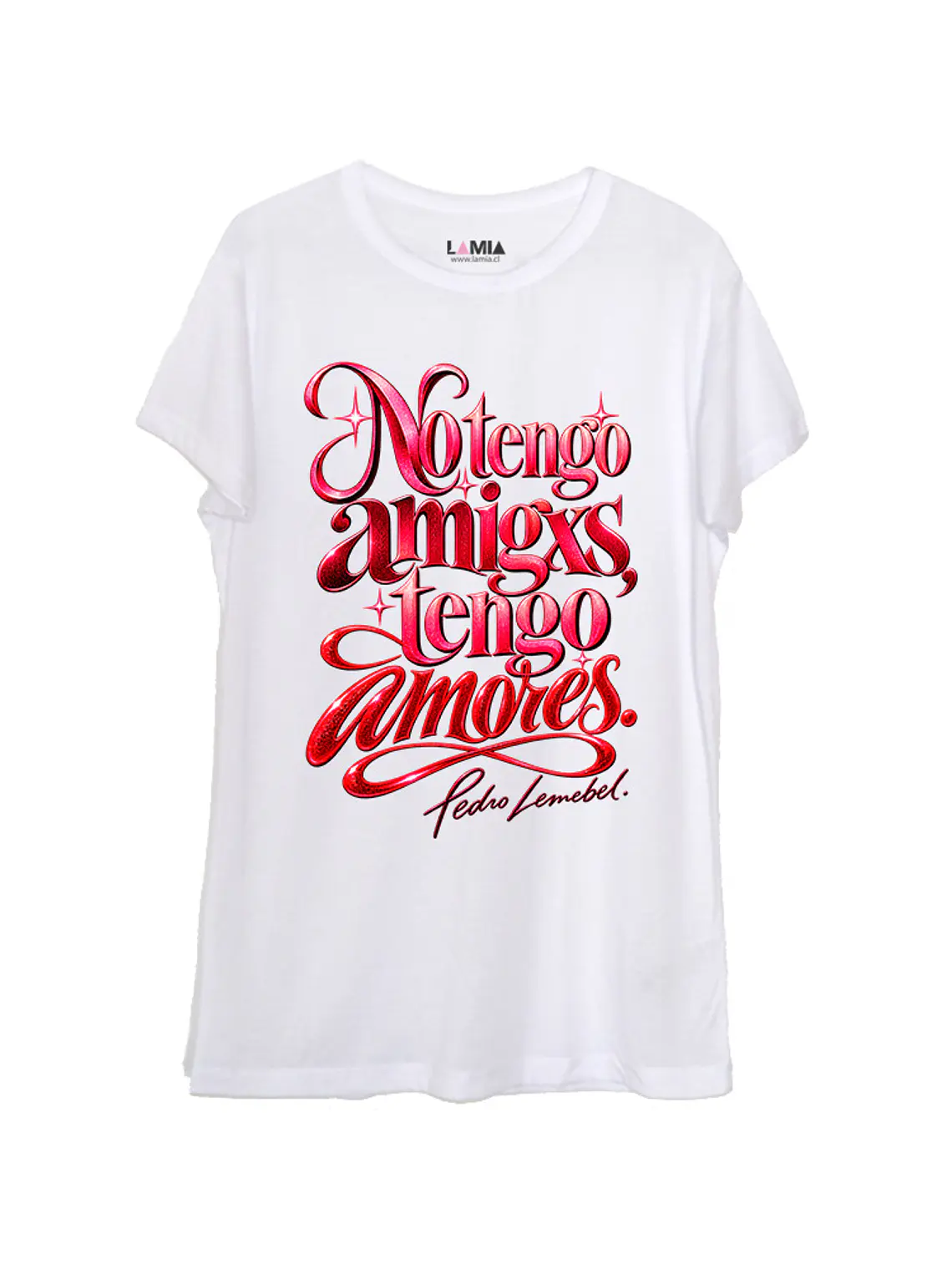 Pedro Lemebel No tengo amigxs, tengo amores #27 1