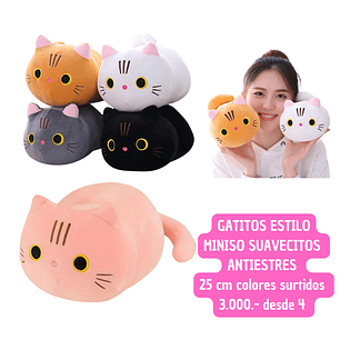GATITOS ESTILO MINISO (4UNID)
