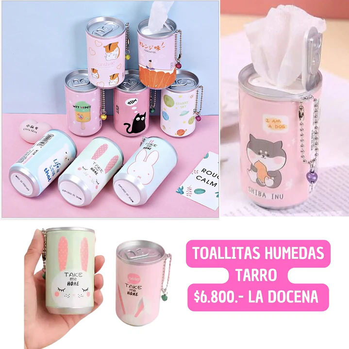TOALLITAS HUMEDAS TARRO (DOCENA) 1