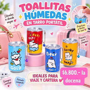 TOALLITAS HUMEDAS EN TARRO (DOCENA)