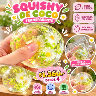 SQUISHY DE COCO TRANSPARENTE (4UNID)