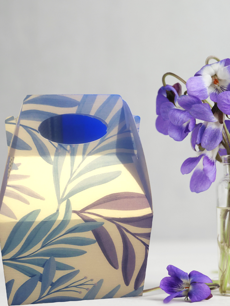 PACK 10 UNID CAJITA BOMBONES SOUVENIR 1