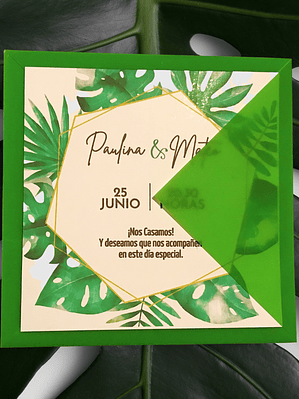 PARTE DE MATRIMONIO LINIA