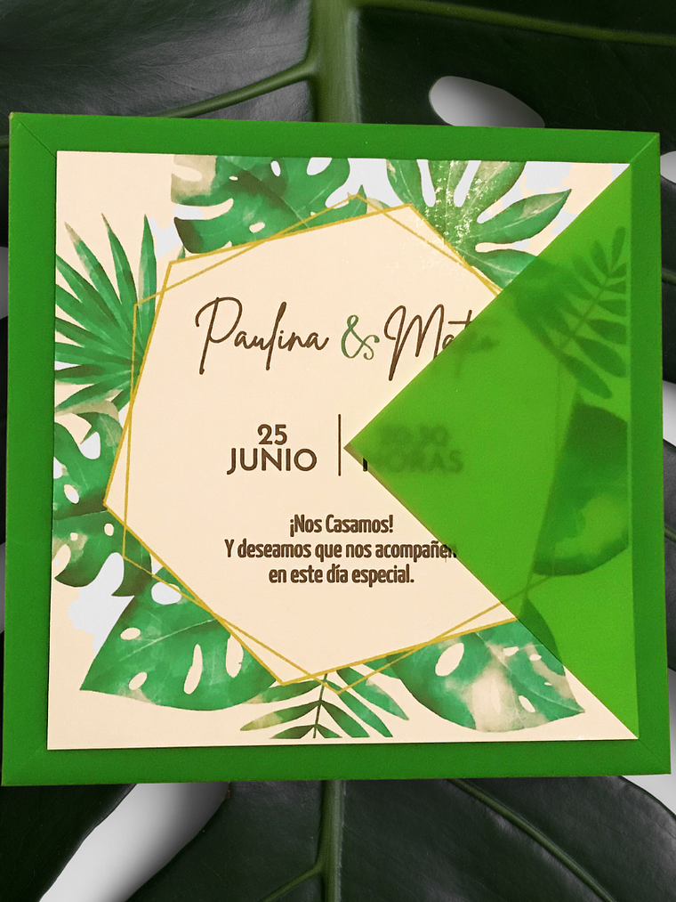 PARTE DE MATRIMONIO LINIA 1