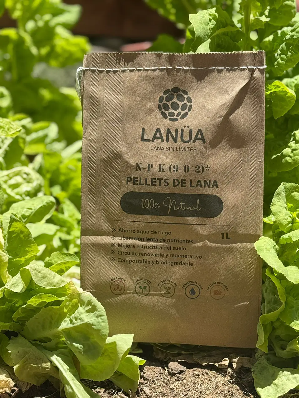 Lanüa 1L 1