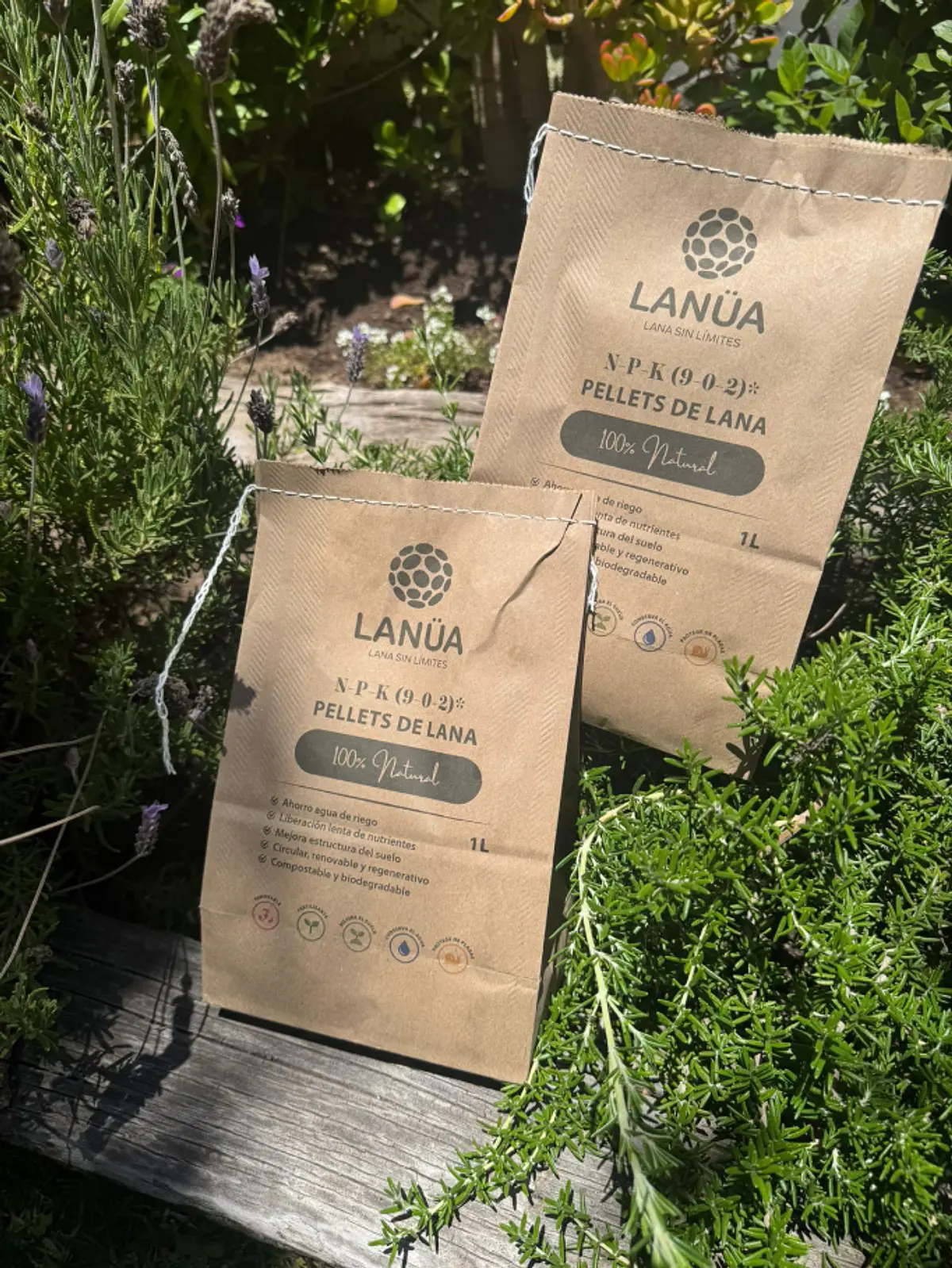 Lanüa 