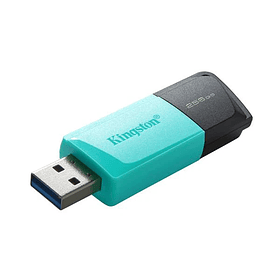 Pendrive Kingston DataTraveler Exodia M 256GB