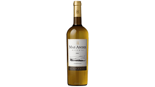 VINO BPHR MAS ANDES CHAR RVA 750CC