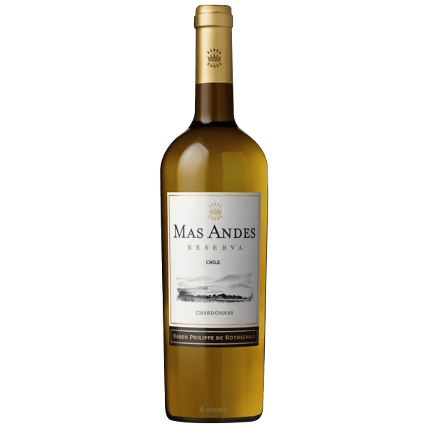 VINO BPHR MAS ANDES CHAR RVA 750CC 1