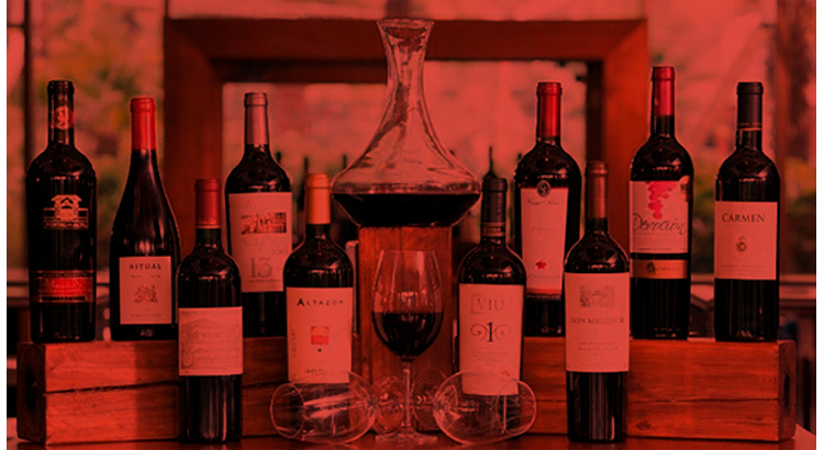 Las viñas mas destacadas de Chile