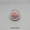Mini pecera con rosa preservada