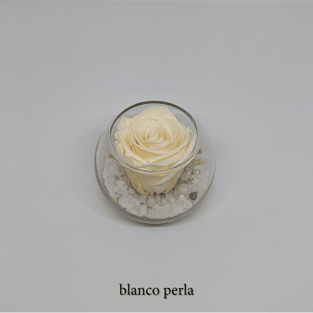 Mini pecera con rosa preservada