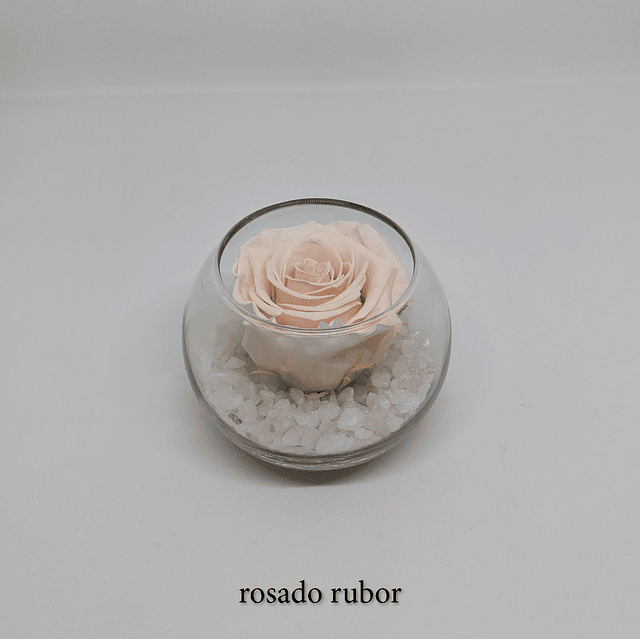 Mini pecera con rosa preservada