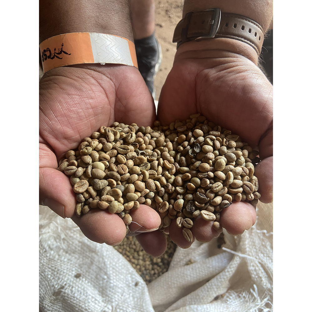 Cafe Robusta saco x 25 kg