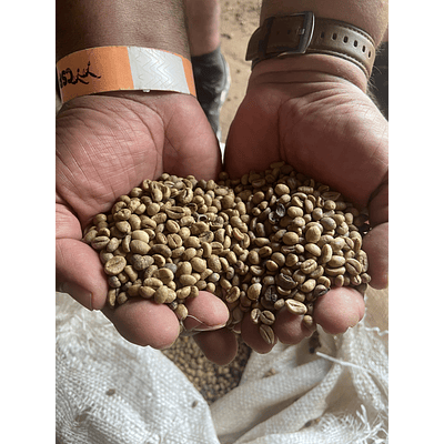 Cafe Robusta saco x 25 kg