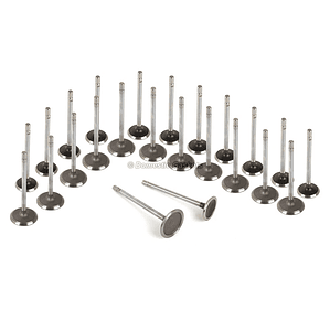 Kit de Válvulas de Motor Suzuki XL-7 3.6L – Admisión y Escape