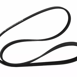 Correa de accesorios Ford F150 5.0 V8 2018-2024