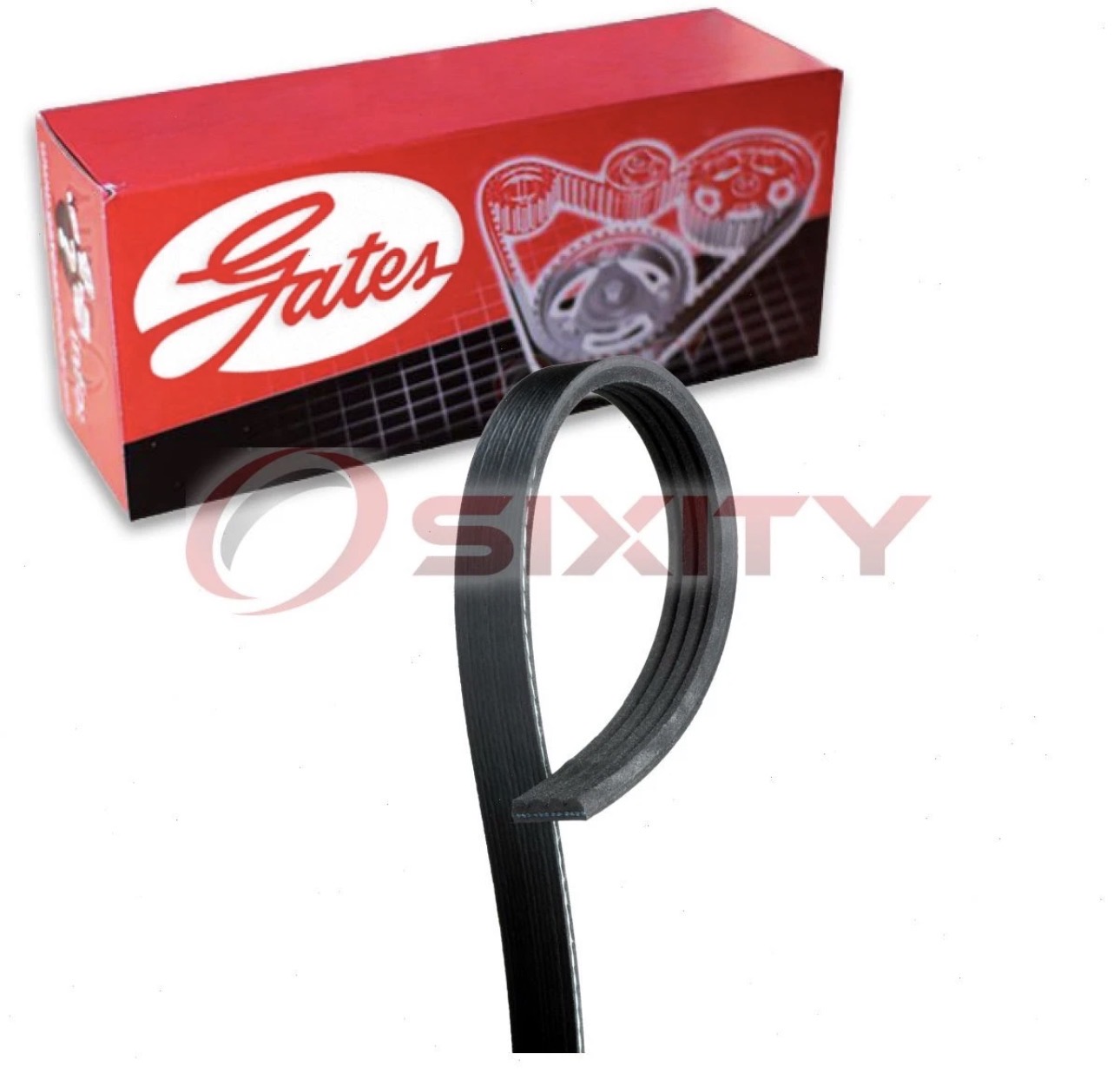 Correa de accesorios Ford F150 5.0 V8 2018-2024 2