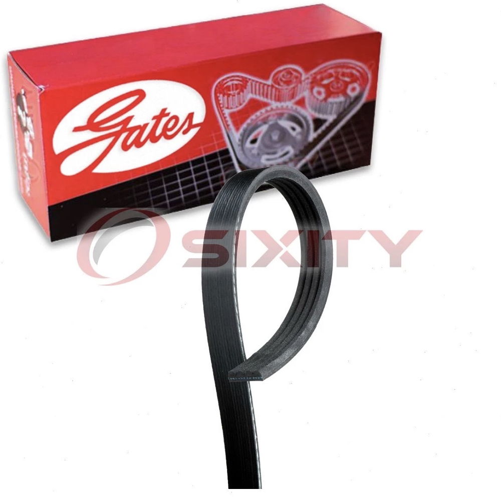 Correa de accesorios Ford F150 5.0 V8 2018-2024 2