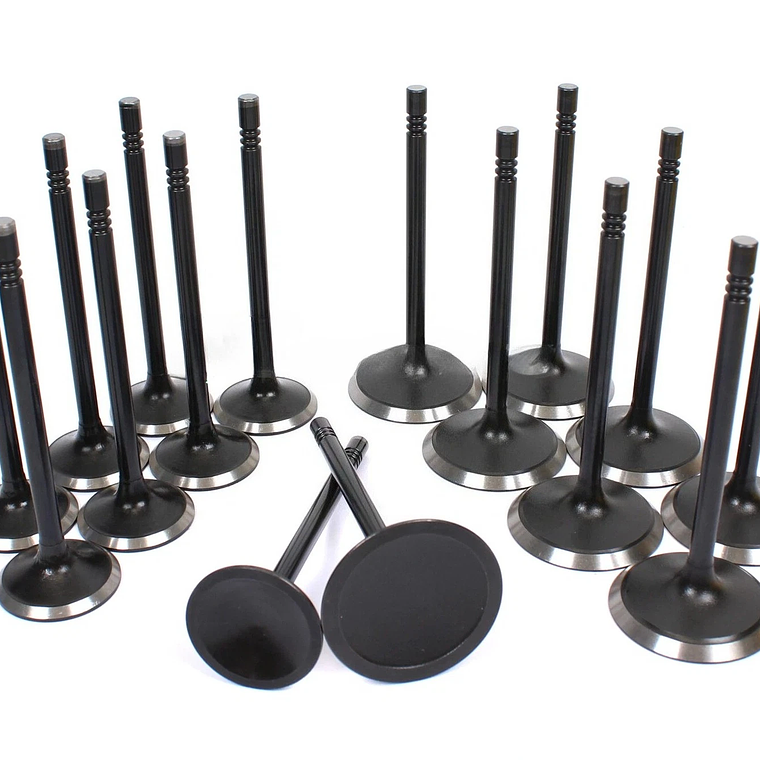 Kit Completo de Válvulas y Guías Motor 4.7L V8 SOHC 1