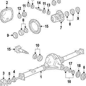 Kit reparación diferencial Ford Raptor 