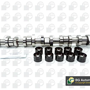 Kit Árbol De Levas Y Taqués Para Volkswagen Touareg 2.5 TDi (2003-2010)