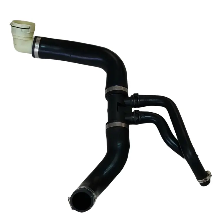 Manguera Superior Radiador Ford F150 5.0 V8 Coyote 2015-2026 2