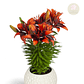 Bulbo Lilium Pot Tini Ink 14/16 - Miniatura 1